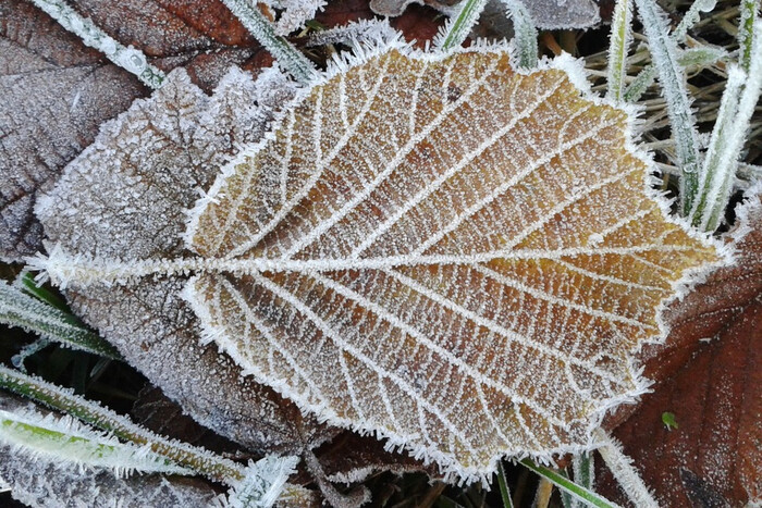 8 ноября: какой сегодня праздник, приметы и запреты