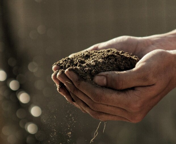 Цены на землю в Украине повышаются с каждой минутой: в чем причина