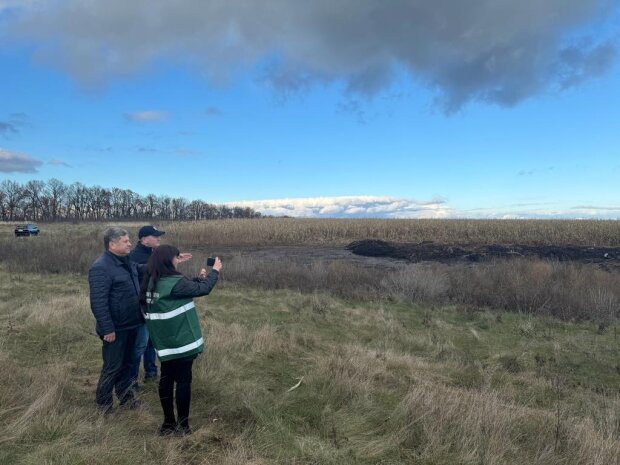 Госэкоинспекция показала самые резонансные преступления против окружающей среды: ущерб почти на 9 миллионов
