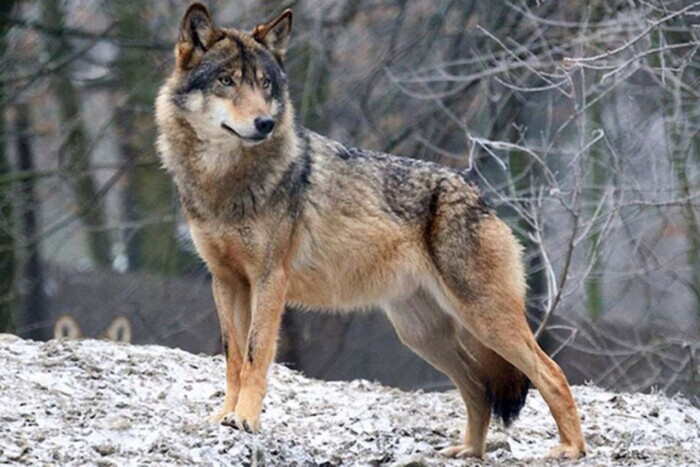 Пограничники предупредили любителей незаконных путешествий об опасности