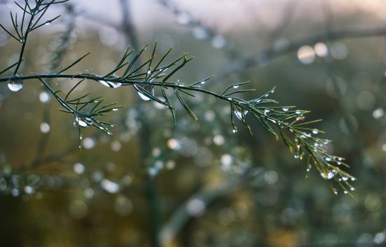 В одном из регионов Украины воздух прогреется до +16: прогноз погоды на 26 февраля