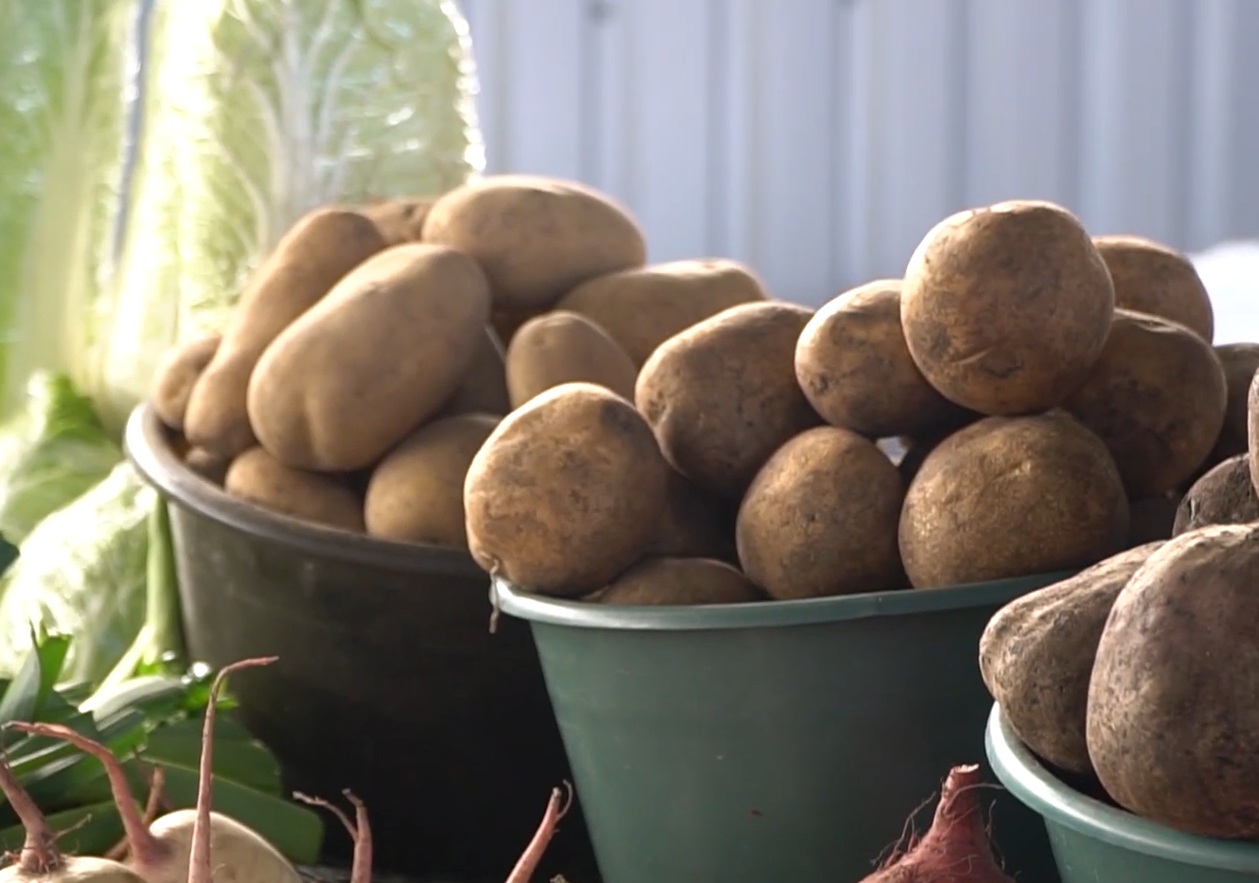 Дефіцит продуктів у Дніпрі: українцям розкрили, що відбувається на ринках